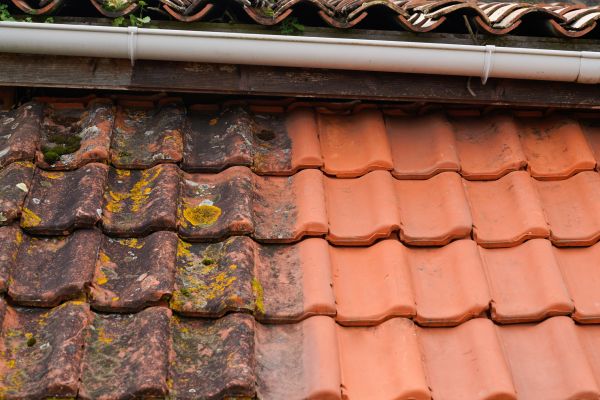 Industrial Roof Cleaning in North Little Rock
